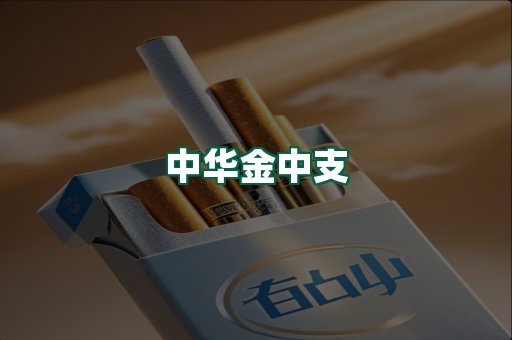 中华金中支